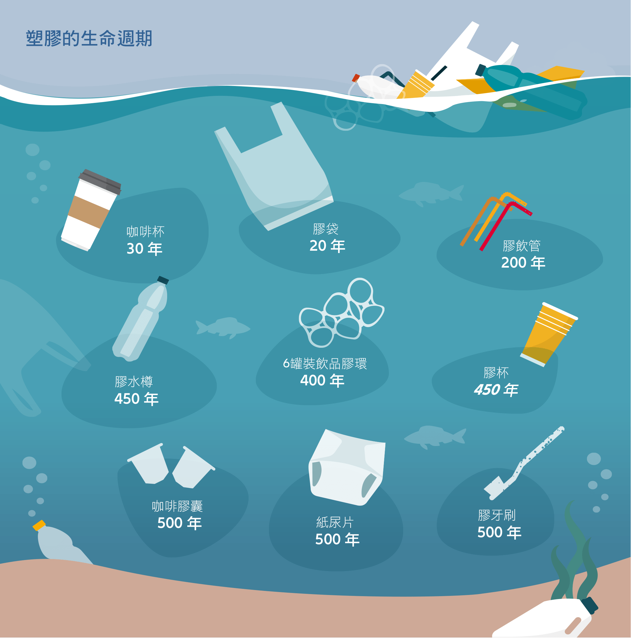 Infographic 3: The Lifecycle of Plastics