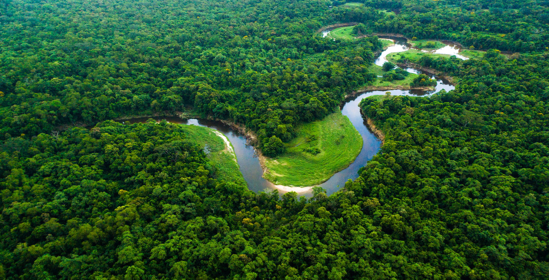 beyond-climate-biodiversity